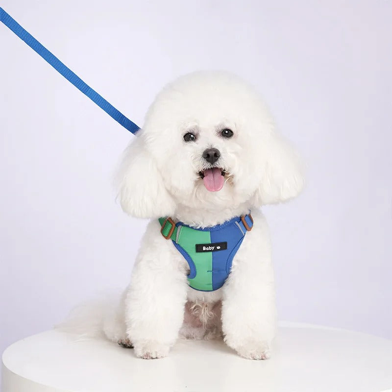 All-in-One Reflective Dog Harness & Leash