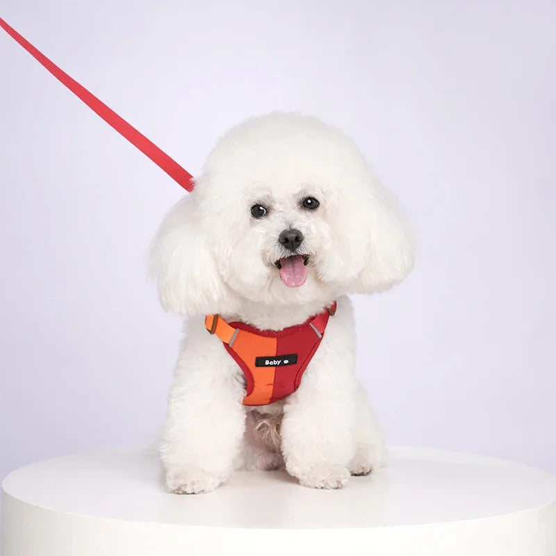 All-in-One Reflective Dog Harness & Leash