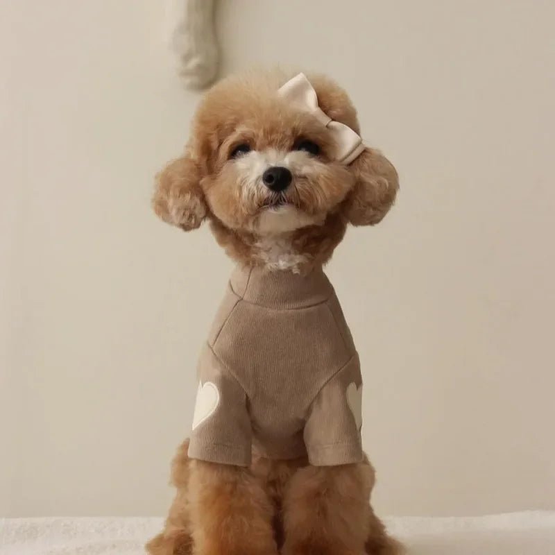 Core Comfort Hoodie