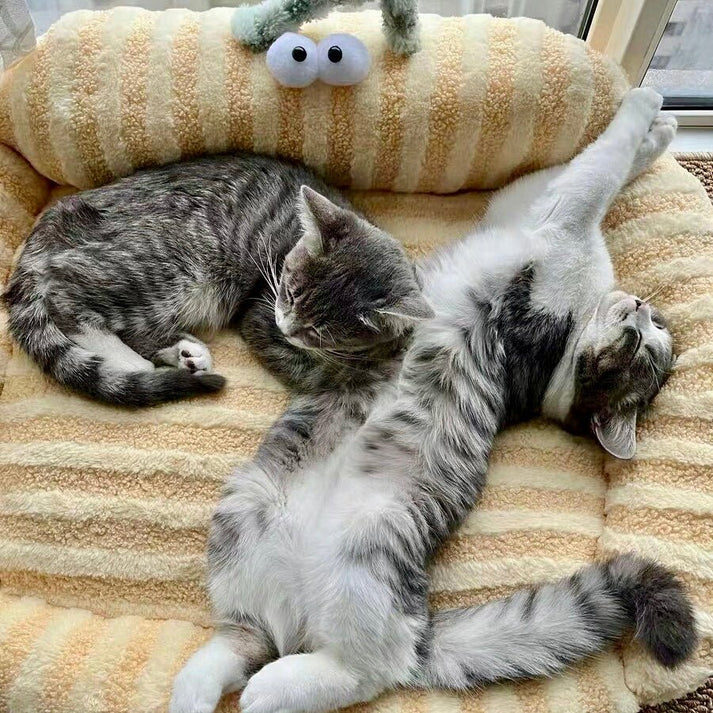 Big Eye Cozy Striped Pet Bed