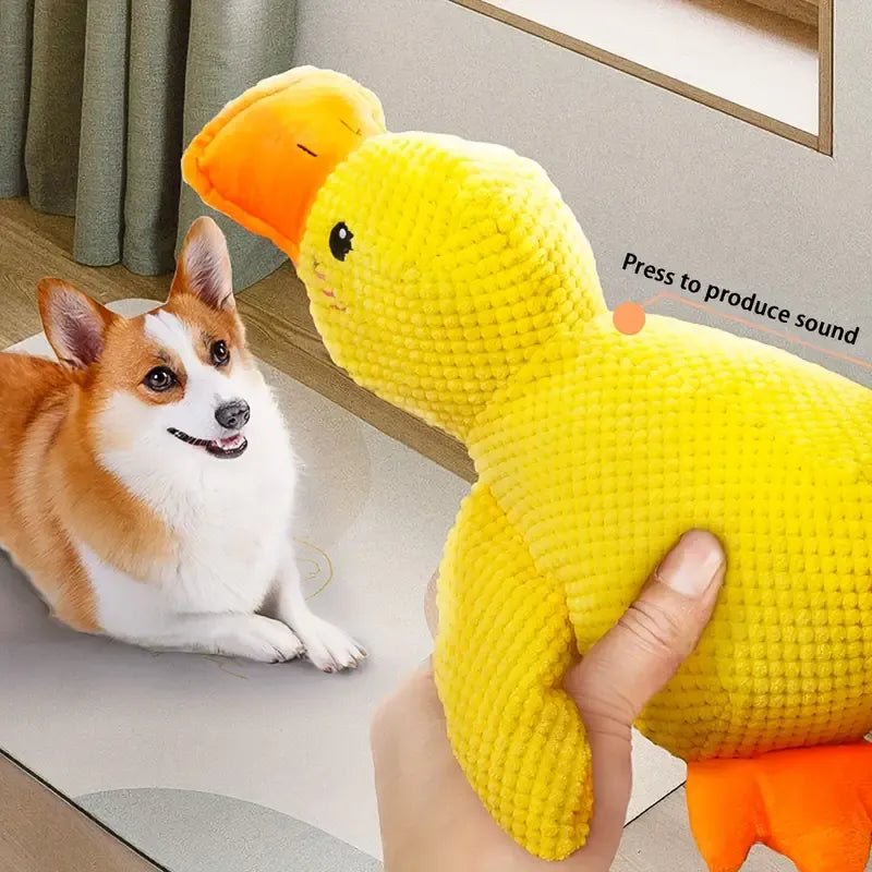 Calm Feathers Dog Toy