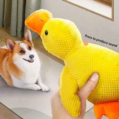 Calm Feathers Dog Toy - The Zoo Mart
