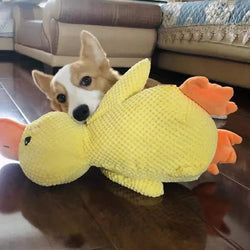 Calm Feathers Dog Toy
