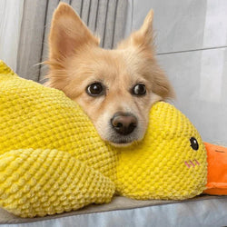 Calm Feathers Dog Toy