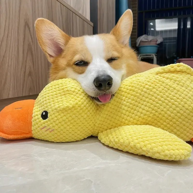 Calm Feathers Dog Toy - The Zoo Mart