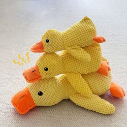 Calm Feathers Dog Toy
