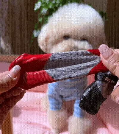 Winter Pet Boots - The Zoo Mart