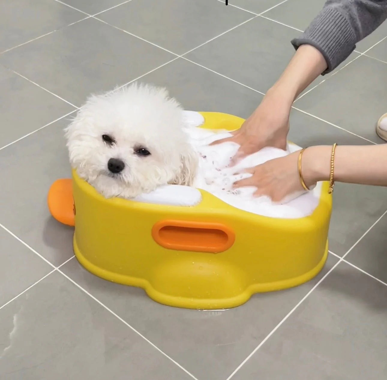 Dog Bathtub for small dog