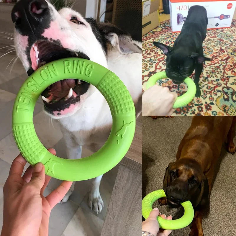 Dog Training Ring | Interactive Chew & Fitness Toy