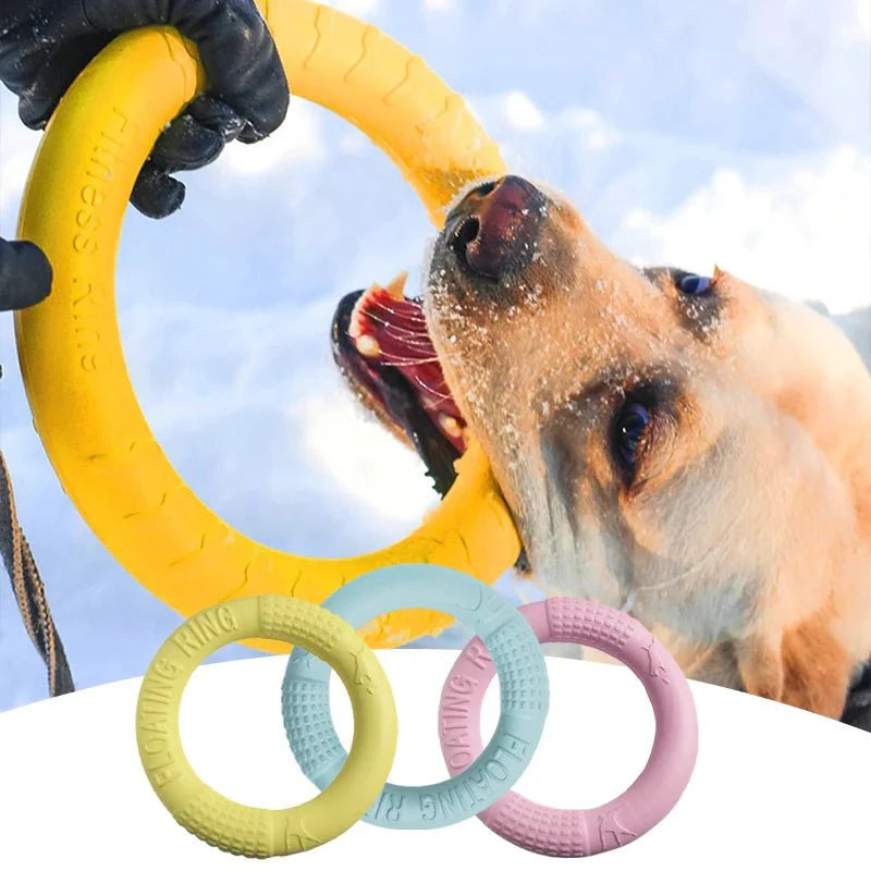 Dog Training Ring | Interactive Chew & Fitness Toy - The Zoo Mart
