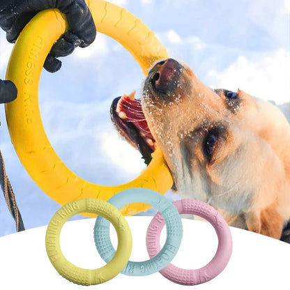 Dog Training Ring | Interactive Chew & Fitness Toy - The Zoo Mart
