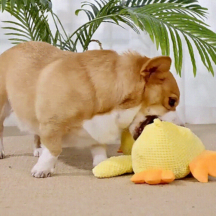 Calm Feathers Dog Toy