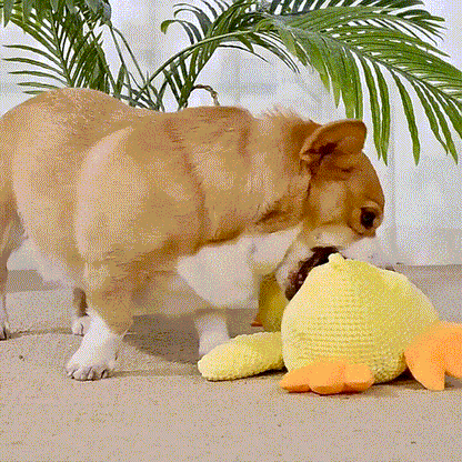 Calm Feathers Dog Toy - The Zoo Mart