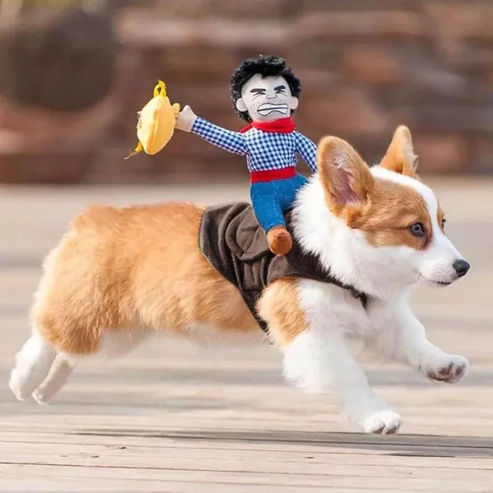 Cowboy Dog Costume - The Zoo Mart