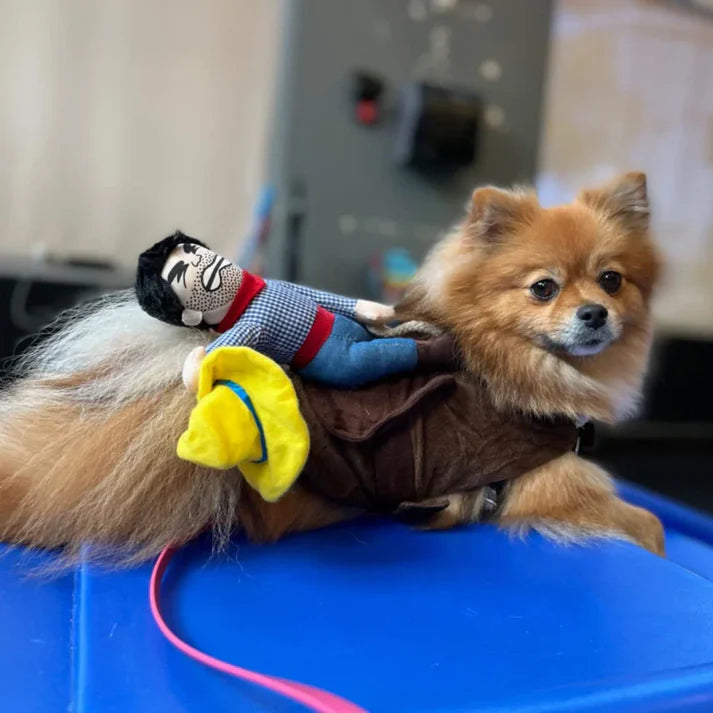 Cowboy Dog Costume - The Zoo Mart