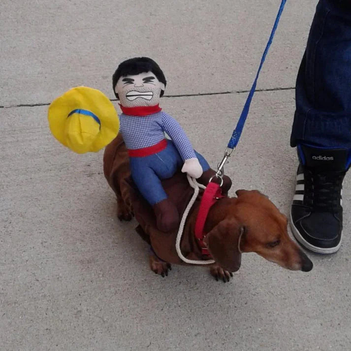 Cowboy Dog Costume