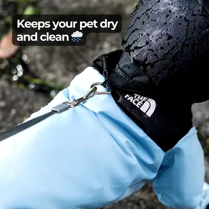 The Dog Face Raincoat