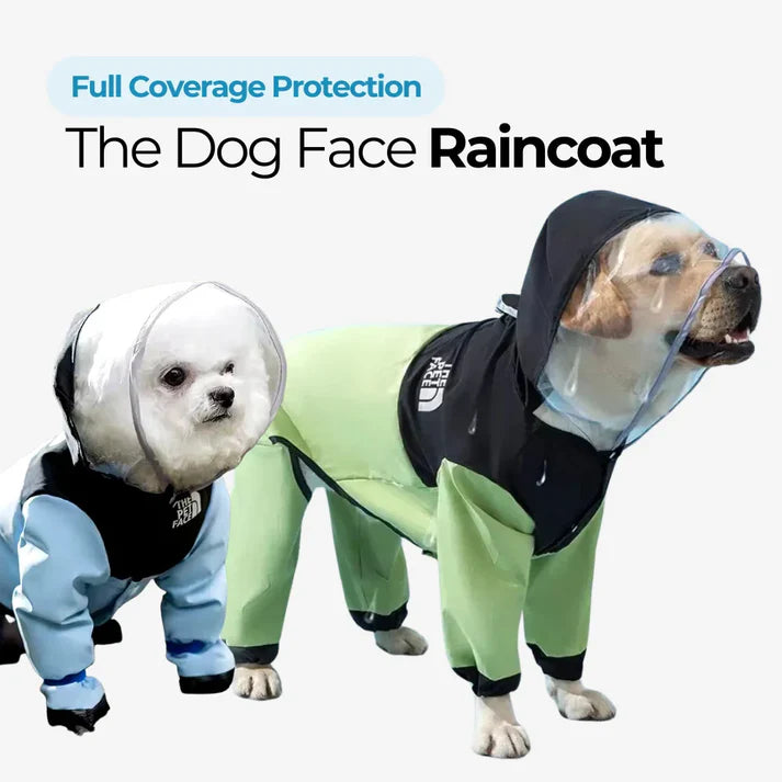 The Dog Face Raincoat - The Zoo Mart