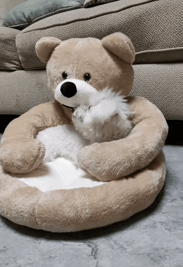 Soft Bear Bed - The Zoo Mart