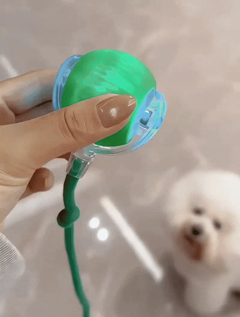 Interactive Rolling Ball Toy - The Zoo Mart