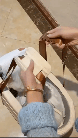 Dog Car Seat & Travel Carrier with Safety Leash | Anti-Escape Pet Booster Seat for Small Dogs