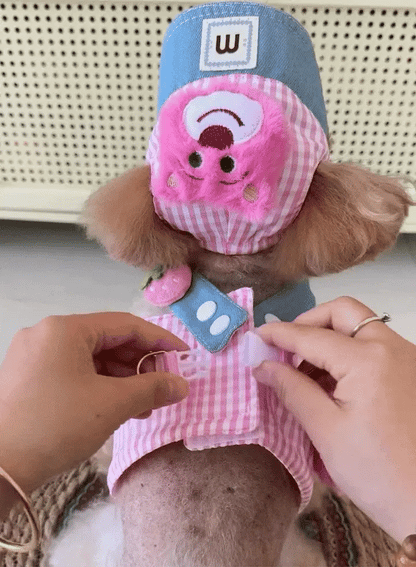 Cute Dog Harness & Leash Set with Hat - The Zoo Mart