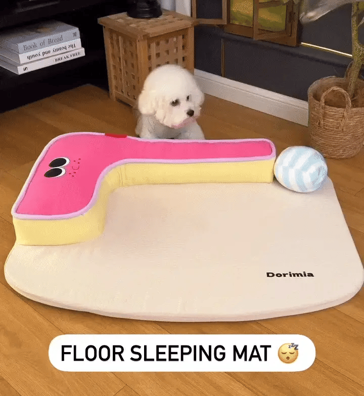 Floor Sleeping Mat