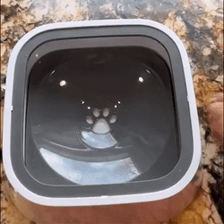 2-in-1 Automatic Pet Feeder and Water Dispenser Set