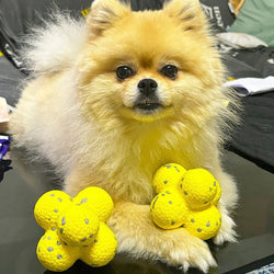 Chew and Chill Ball Toy