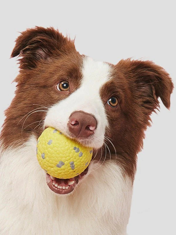 Chew and Chill Ball Toy