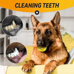 Chew and Chill Ball Toy