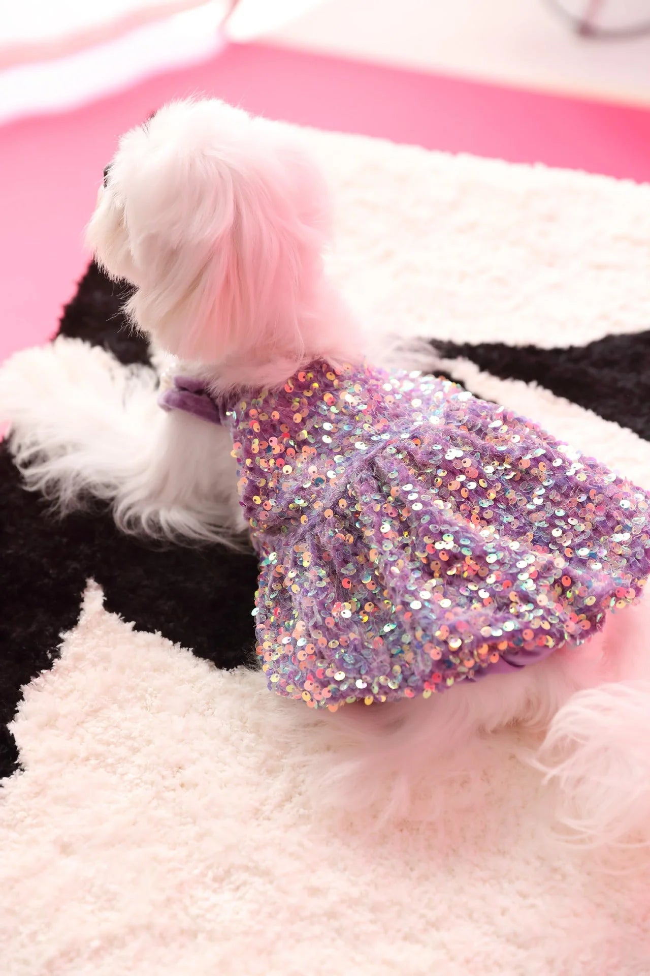 Luxurious Velvet Glitter Camisole Dress - The Zoo Mart