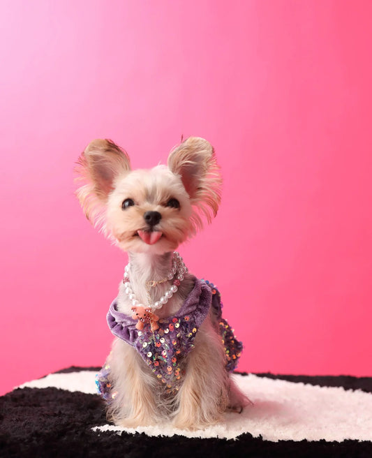 Luxurious Velvet Glitter Camisole Dress - The Zoo Mart