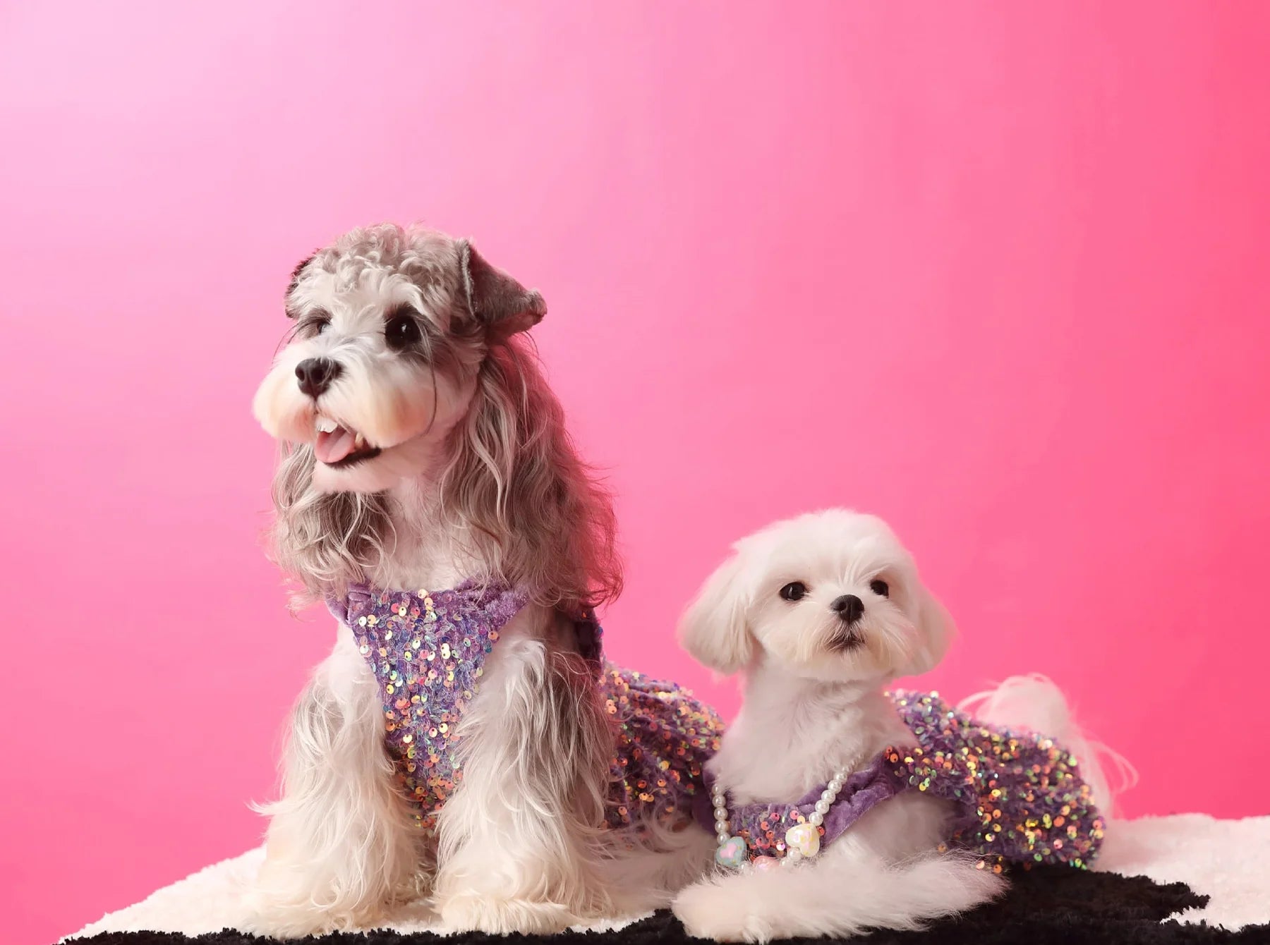 Luxurious Velvet Glitter Camisole Dress