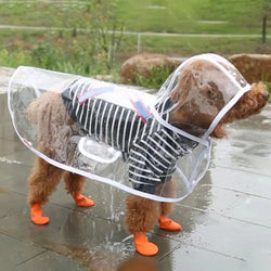 Transparent Raincoat