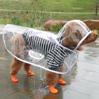 Transparent Raincoat - The Zoo Mart