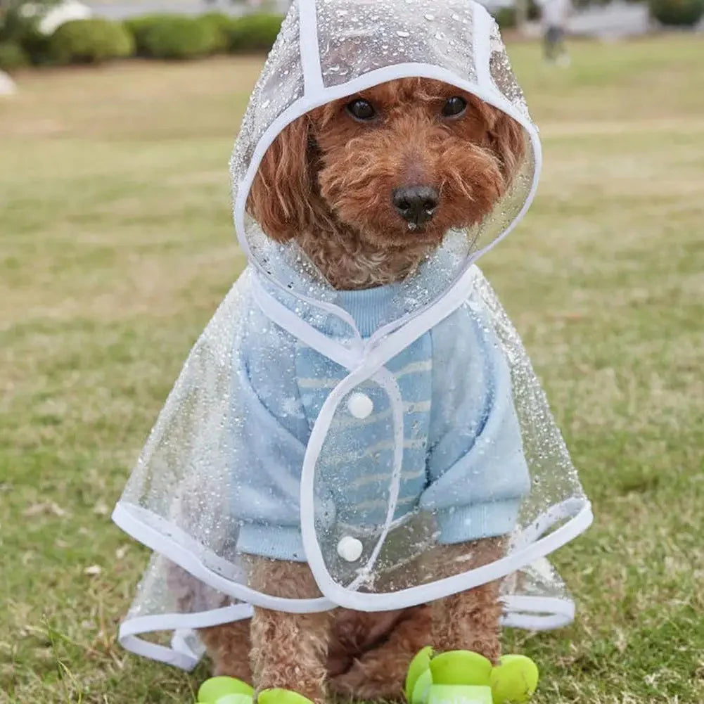 Transparent Raincoat