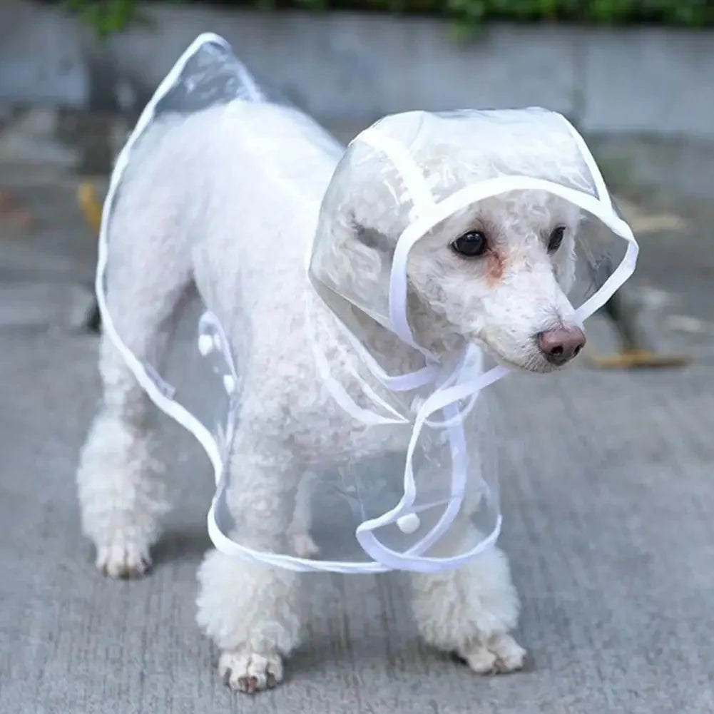 Transparent Raincoat