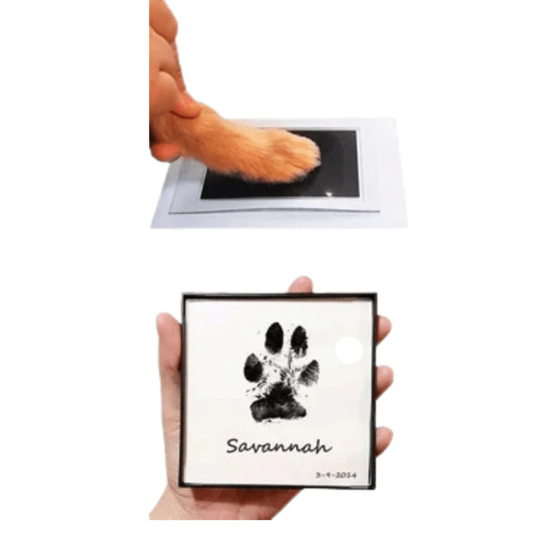 Paw Print Memory Ink Pad - The Zoo Mart