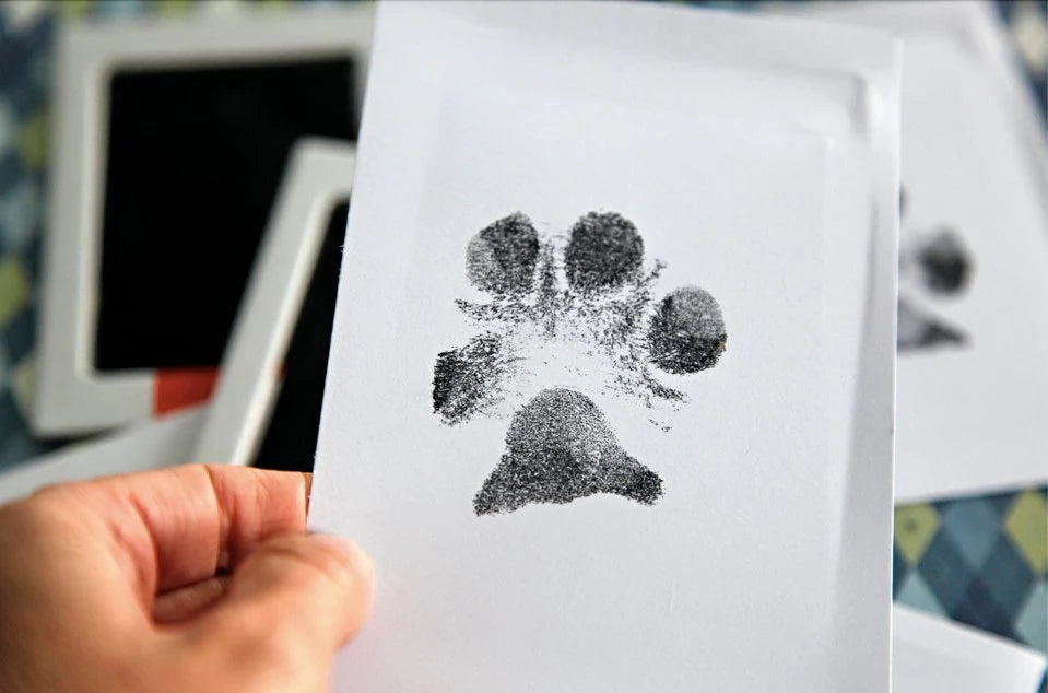 Paw Print Memory Ink Pad