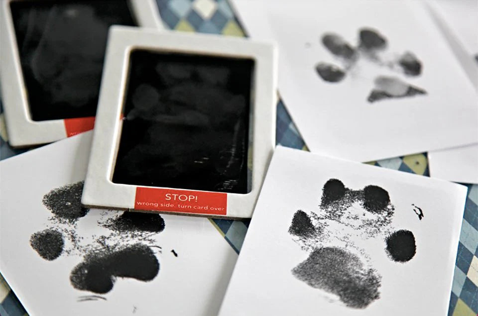 Paw Print Memory Ink Pad - The Zoo Mart