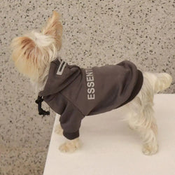 Polyster Plush Thickend Hoodie