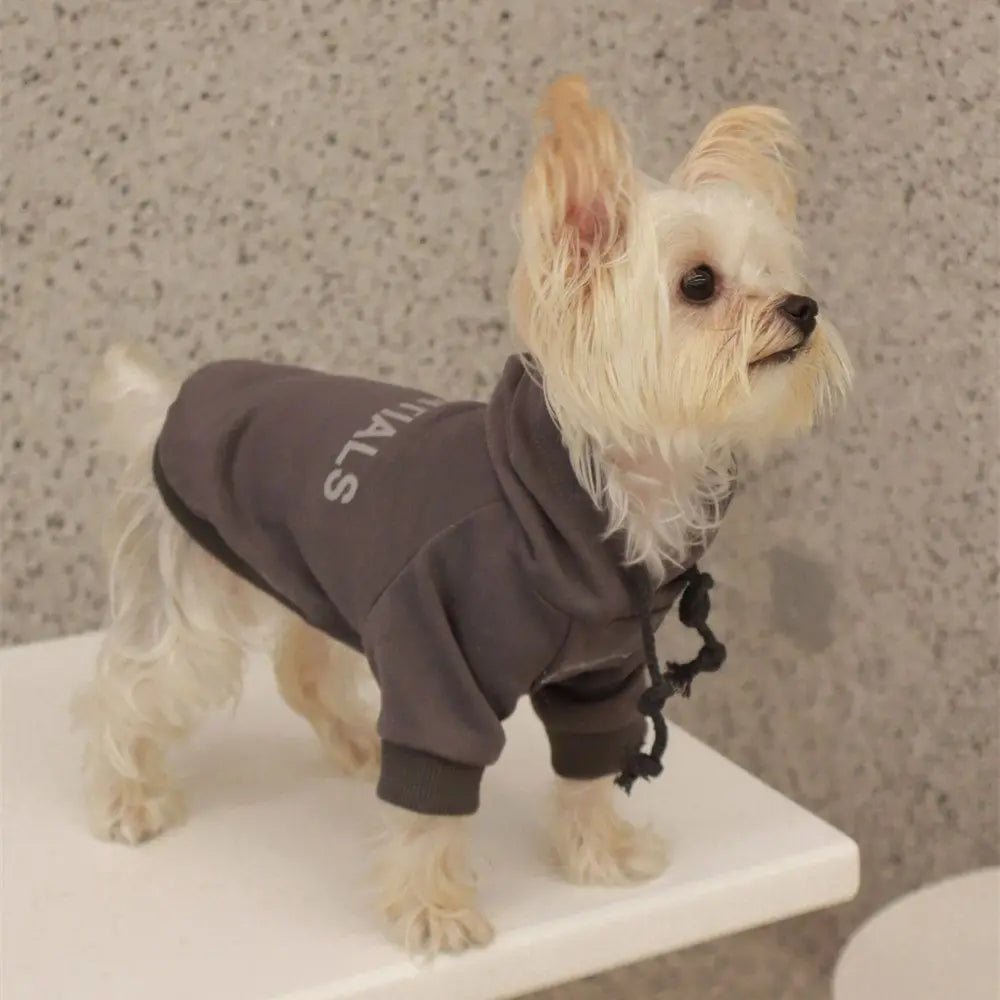 Polyster Plush Thickend Hoodie