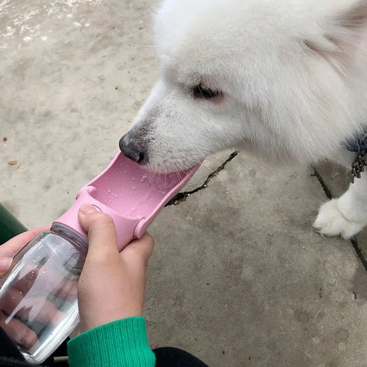 Portable Water & food Bottle 350/600ML - The Zoo Mart