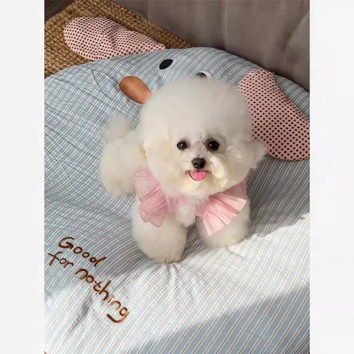 Dog physiological pants + Pads