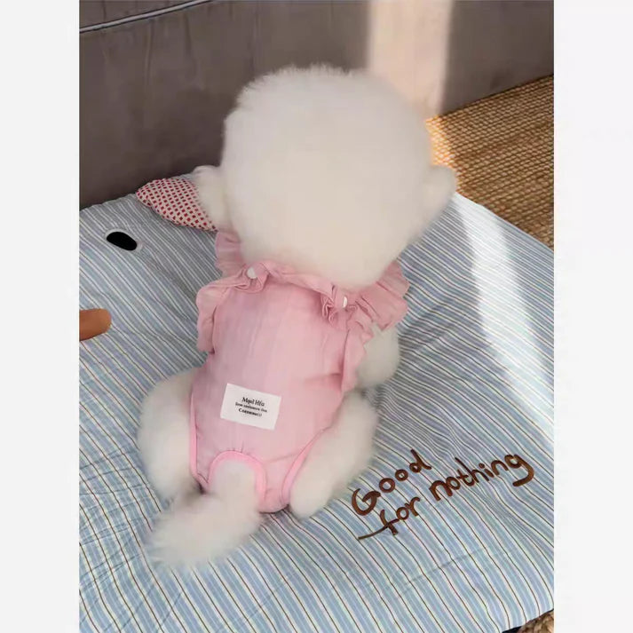 Dog physiological pants + Pads