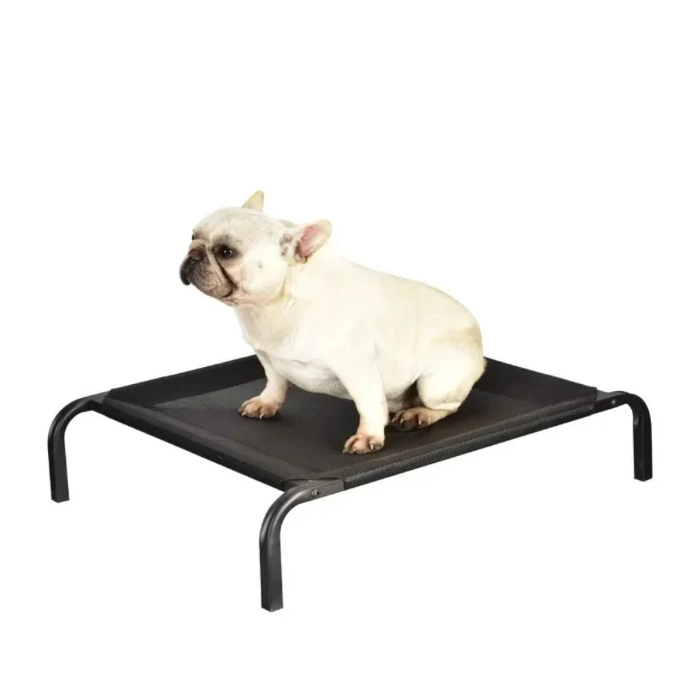 Camp Dog Bed - The Zoo Mart