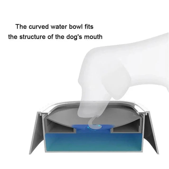 Splash-Proof Water Bowl - The Zoo Mart