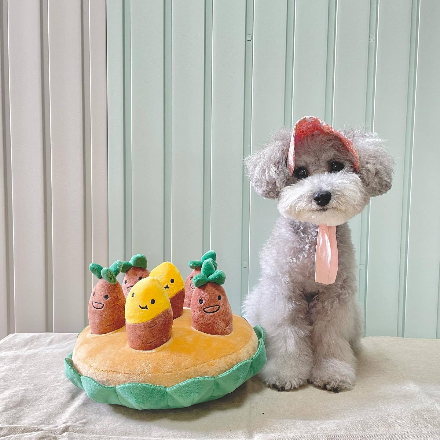 Sweet Potato Set Plush Toys with Sound