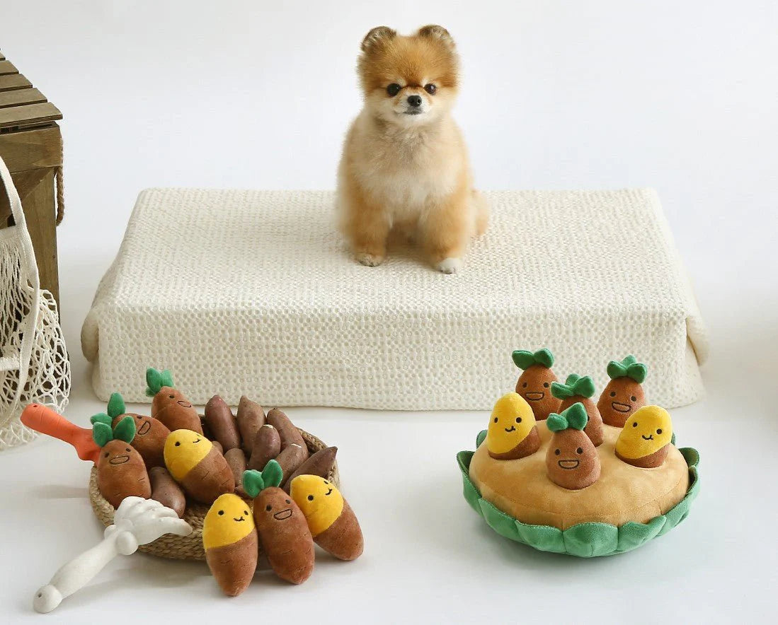 Sweet Potato Set Plush Toys with Sound - The Zoo Mart